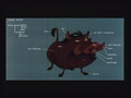 concept_pumbaa016.jpg