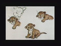 concept_simba004.jpg