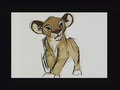 concept_simba009.jpg