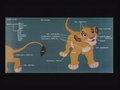 concept_simba020.jpg