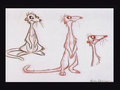 concept_timon008.jpg
