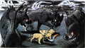 lionking_taotlk_20.jpg