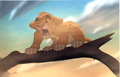 lionking_taotlk_34.jpg