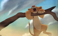 lionking_taotlk_35.jpg