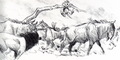 lionking_taotlk_37.jpg