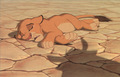 lionking_taotlk_47.JPG