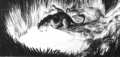 lionking_taotlk_64.JPG