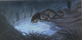 lionking_taotlk_65.JPG