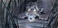 lionking_taotlk_66.JPG