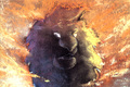 lionking_taotlk_69.JPG
