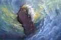 lionking_taotlk_70.JPG