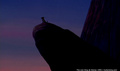 lk_screengrab_090.jpg