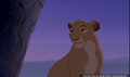 lk_screengrab_103.jpg