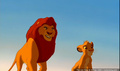 lk_screengrab_111.jpg