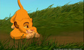 lk_screengrab_127.jpg