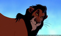 lk_screengrab_148.jpg