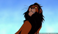 lk_screengrab_154.jpg