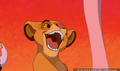 lk_screengrab_207.jpg