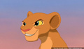 lk_screengrab_220.jpg