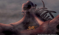 lk_screengrab_231.jpg