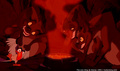 lk_screengrab_244.jpg