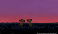 lk_screengrab_275.jpg