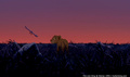 lk_screengrab_278.jpg