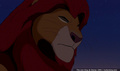 lk_screengrab_283.jpg