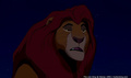 lk_screengrab_286.jpg