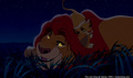 lk_screengrab_290.jpg