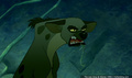 lk_screengrab_297.jpg