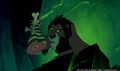 lk_screengrab_310.jpg
