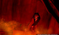 lk_screengrab_343.jpg