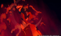 lk_screengrab_346.jpg