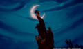 lk_screengrab_351.jpg