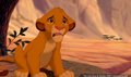 lk_screengrab_357.jpg