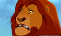 lk_screengrab_380.jpg