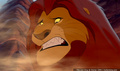 lk_screengrab_386.jpg