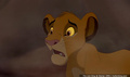 lk_screengrab_411.jpg