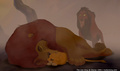 lk_screengrab_420.jpg