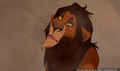 lk_screengrab_426.jpg