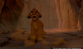 lk_screengrab_428.jpg