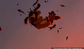 lk_screengrab_436.jpg