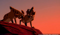 lk_screengrab_443.jpg
