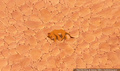 lk_screengrab_453.jpg