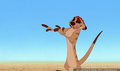 lk_screengrab_457.jpg