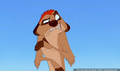 lk_screengrab_459.jpg