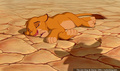 lk_screengrab_463.jpg