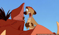 lk_screengrab_464.jpg