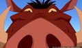 lk_screengrab_465.jpg